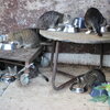 Futterstelle mit Straßenkatzen 