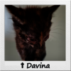Straßenkitten Davina mit verklebten Augen
