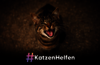 Kastration #KatzenHelfen