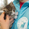 Kitten auf dem Arm einer Tierheim-Mitarbeiterin