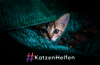 FAQs #KatzenHelfen