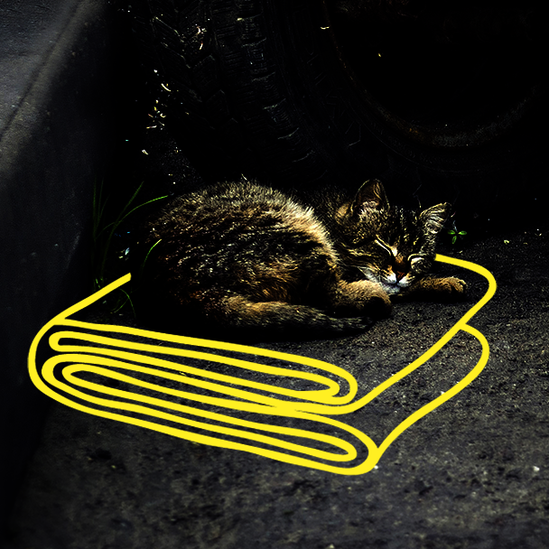 Katze unter Autoreifen liegend auf Grafik einer Decke
